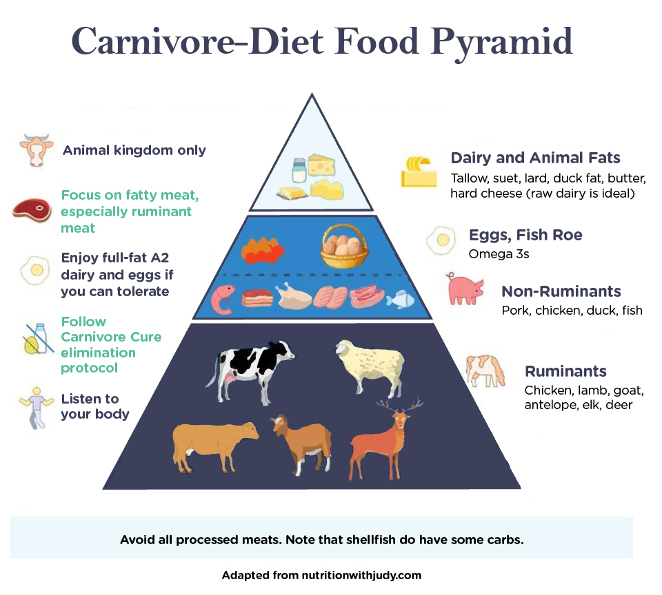 Carnivore Diet Experimentation: 4 Weeks - Politically Uncorrect